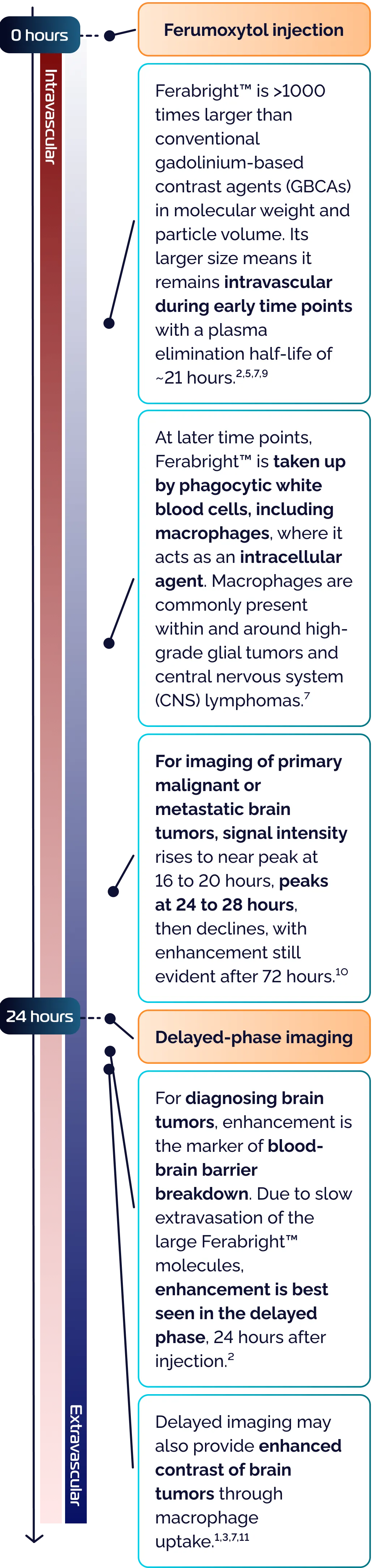 Ferabright™ (ferumoxytol injection) - Mechanism of Action
