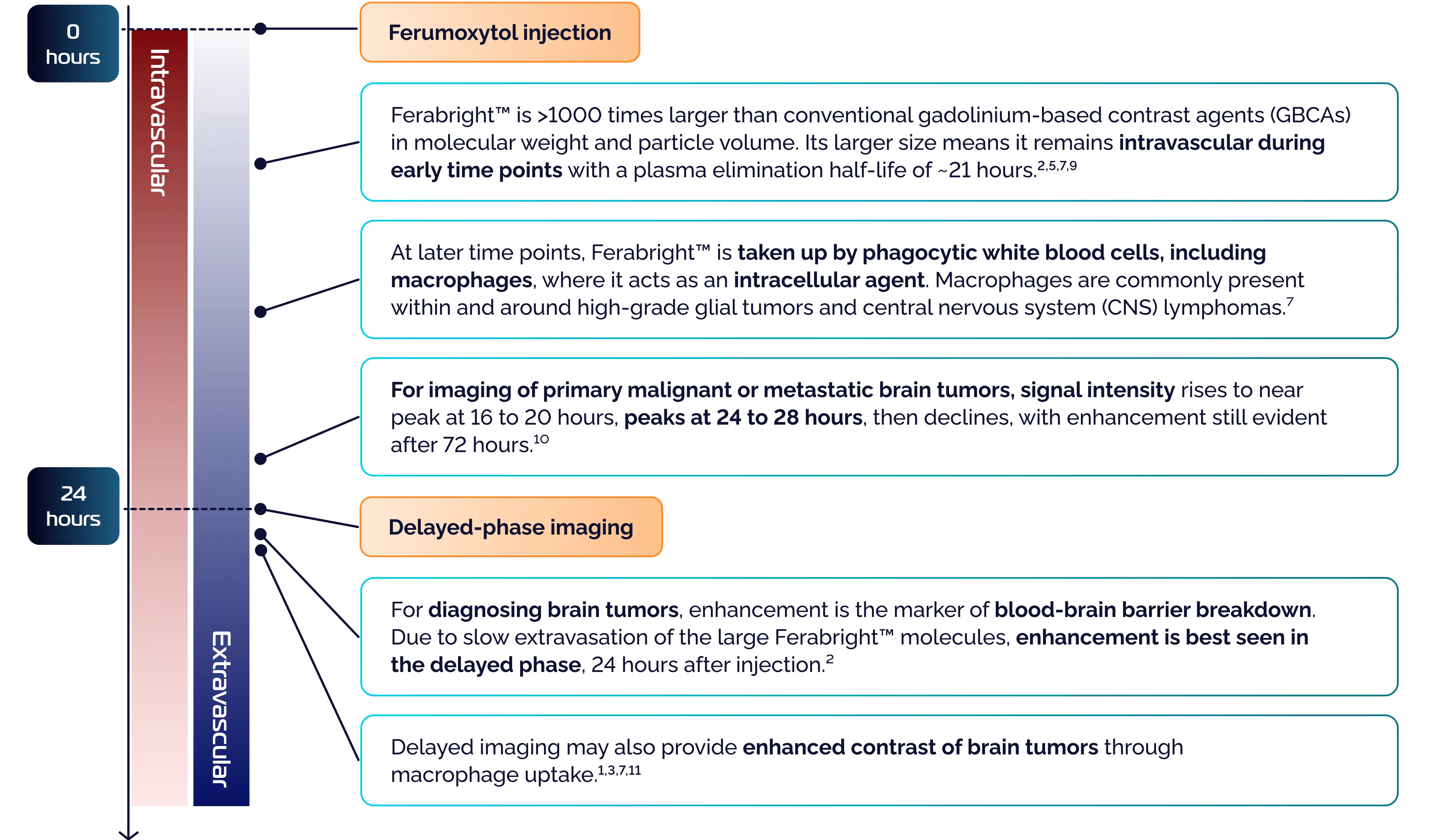 Ferabright™ (ferumoxytol injection) - Mechanism of Action